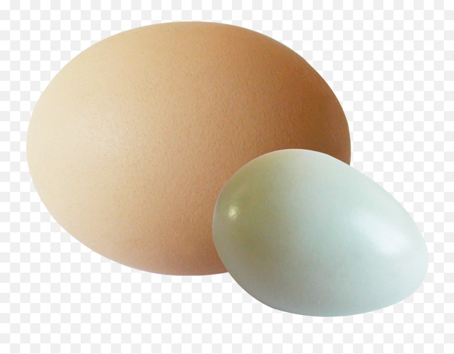 Eggs Png Transparent Image - Oval,Eggs Transparent