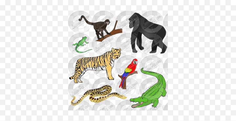 Jungle Animals Picture For Classroom Therapy Use - Great Illustration Png,Jungle Animals Png