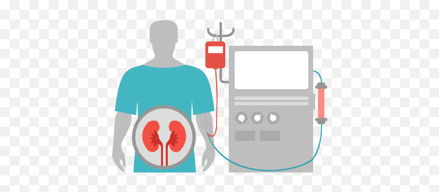 Kidney Dialysis - Chronic Kidney Disease Png,Kidney Png