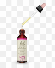 Bach Star Of Bethlehem - Bach Flower Remedies Png,Star Of Bethlehem Png