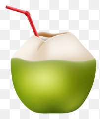 Download Hd Picture Free Library Coconut Transparent Straw Png