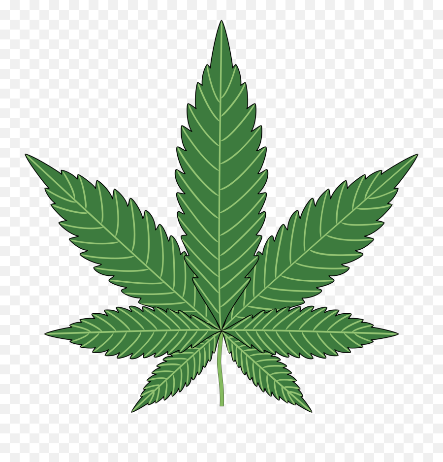 Png Hd Transparent Weed - Cannabis Png,Weed Png
