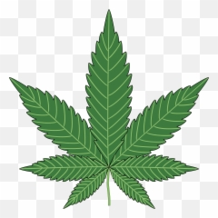 Png Hd Transparent Weed - Cannabis Png,Weed Png