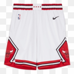 Nike Nba Swingman Shorts - Rugby png