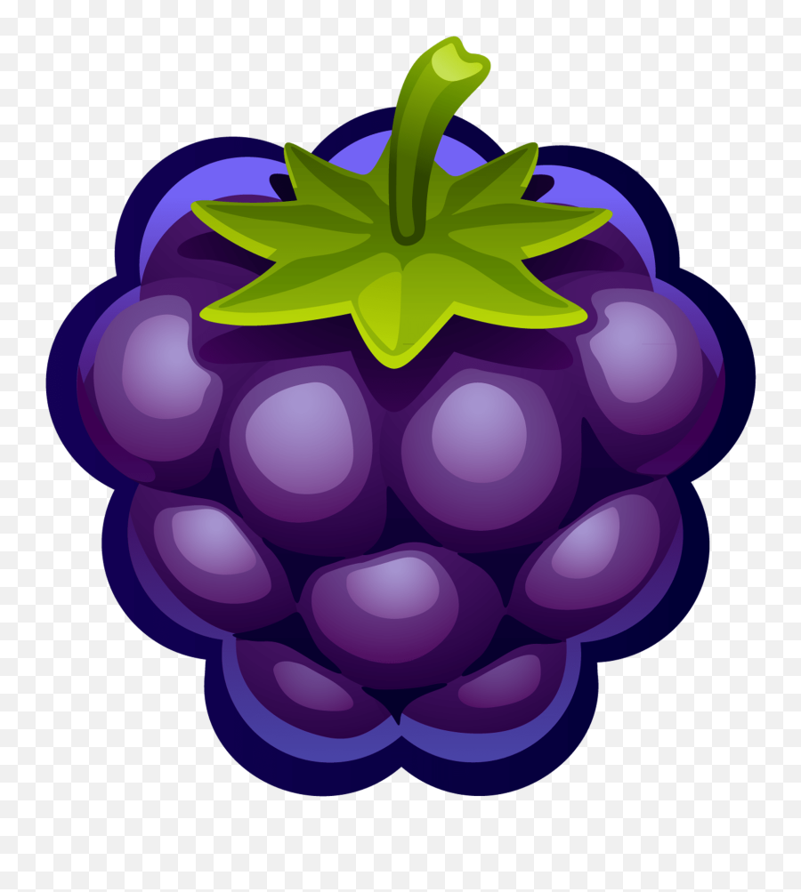 Grapes - Blueberry Clipart Png,Fruit Clipart Png