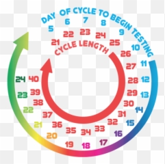 Digital Ovulation Tests Instructions For Use Pregmate - Pregmate Cycle png