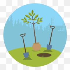 Tree Clipart - Plant A Illustration Png