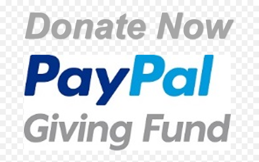 Paypal Giving Fund Non - Profit Organisation Donation Paypal Png,Paypal Png