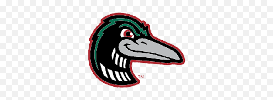 Great Lakes Loons - Great Lakes Loons Logo Png,Loon Icon