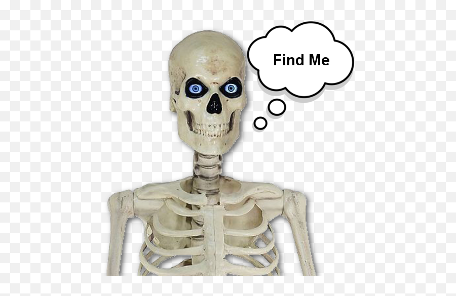 12ft Skeleton Finder Apk 400 - Download Apk Latest Version Png,Skeleton Foot Icon