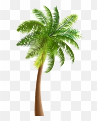 Palm Tree Clip Artdinosaur Palmeras De Lilo Y Stitch Png - free ...