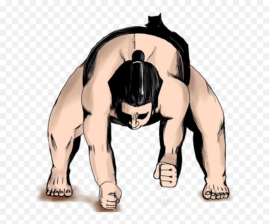 Sumo Wrestling Wrestlers Sports - Free Image On Pixabay Cartoon Sumo Fighter Png,Wrestling Ring Png