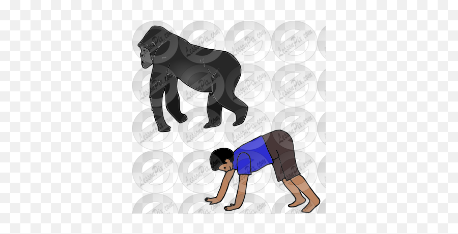 Gorilla Walk Picture For Classroom Therapy Use - Great Illustration Png,Gorilla Cartoon Png