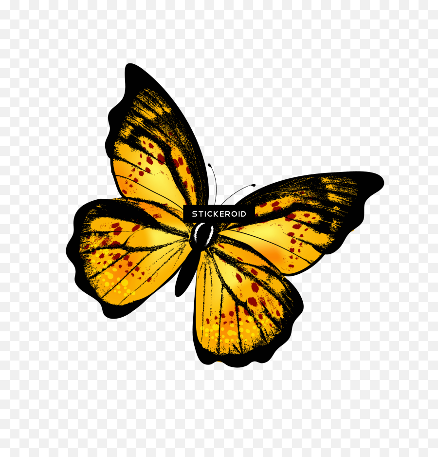 Red And Yellow Butterfly Logo - Yellow Butterfly Gif Png,Real Butterfly Png