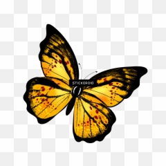 Red And Yellow Butterfly Logo - Gif Png