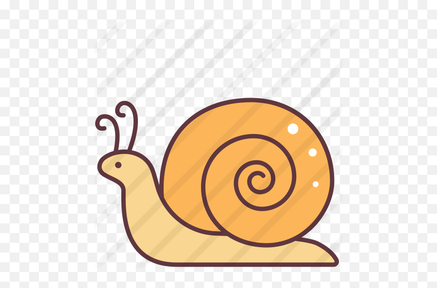 Snail - Free Animals Icons Lymnaeidae Png,Snail Png