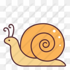 Snail - Free Animals Icons Lymnaeidae Png,Snail Png