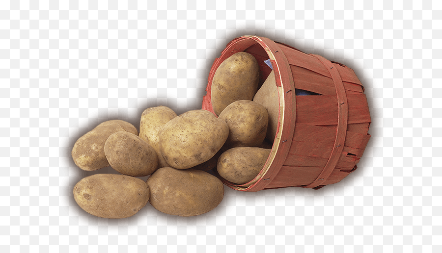 Welcome To The Maine Potato Board - Maine Potato Board Potato In Farmer Png,Potatoes Png
