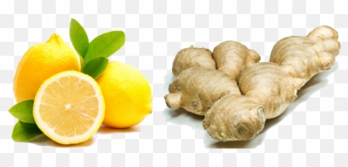 Lemon Ginger - Ginger And Lemon Png,Ginger Png