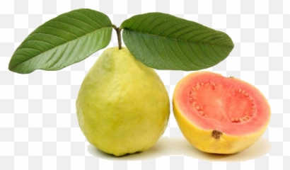 Red Guava Transparent Image - Guava Pink Png,Guava Png