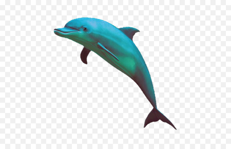 Pin - Vaporwave Dolphin Png,Dolphin Transparent Background