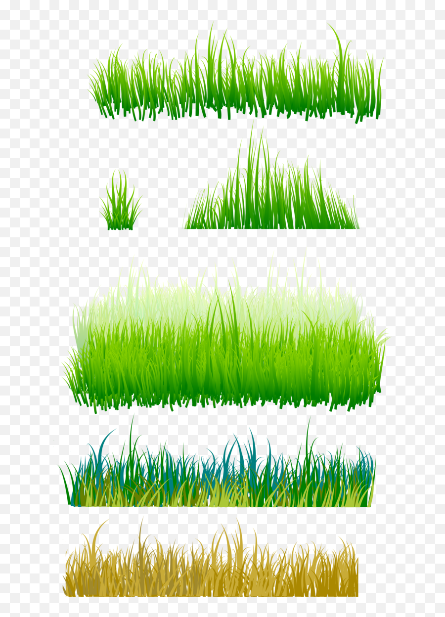 Grama Imagens Png Grass - Grassland,Imagens Png