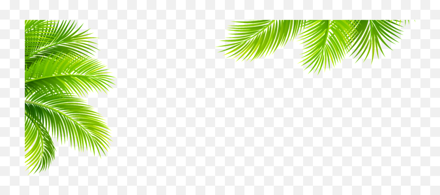 Download Transparent For Tropical Plant Png