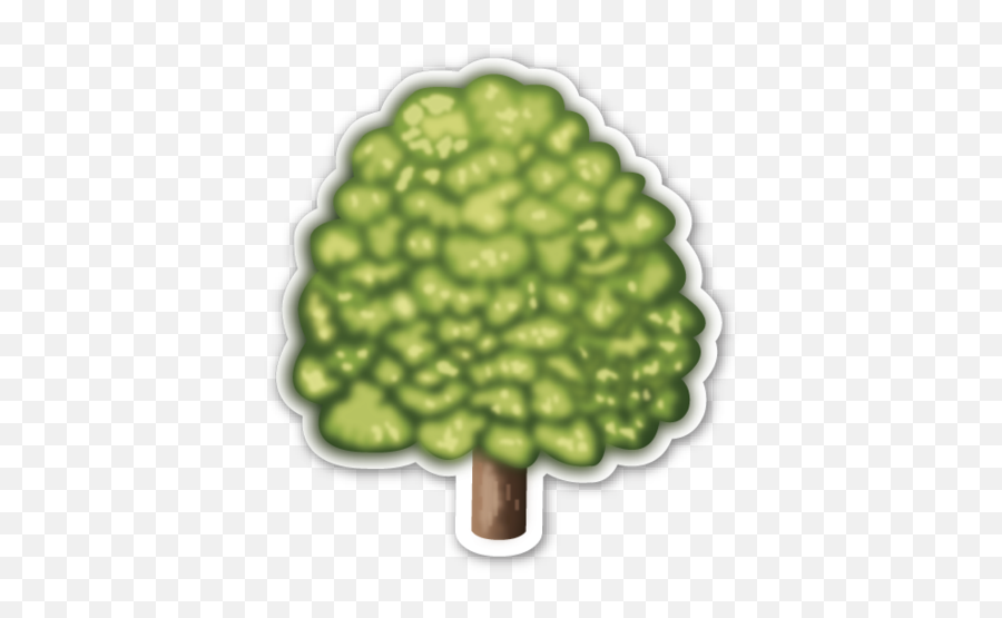 Deciduous Tree - Imagenes De Arboles De Emogis Png,Leaf Emoji Png