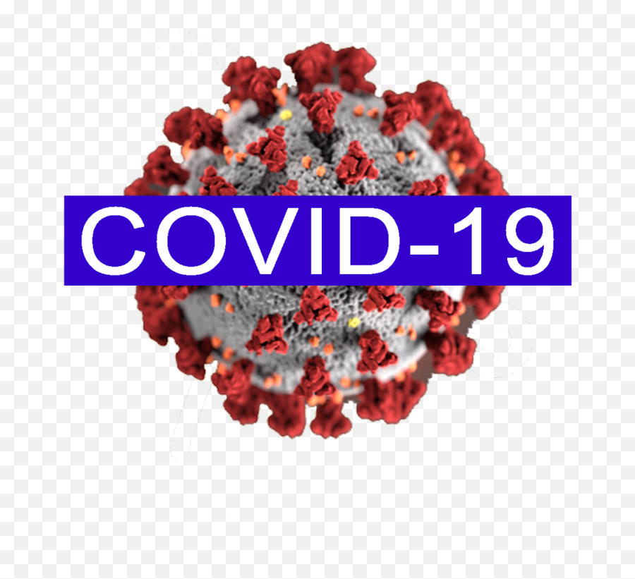 Covid - 19 Guidelines And Resources Covid Icon Png,Johns Hopkins Icon