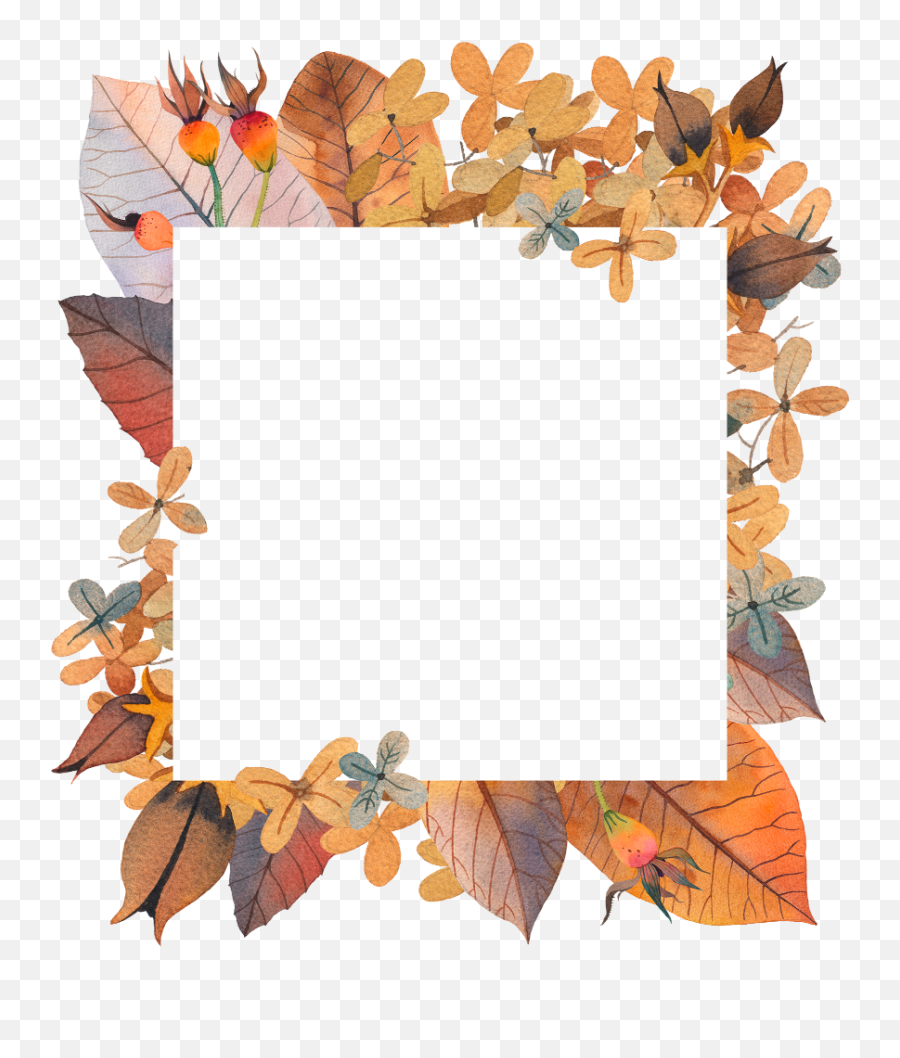 Frame Frames Autumn Fall Border Png