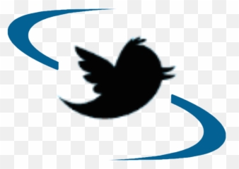 Twitter Icon Scumc Transparent - Red Bird png