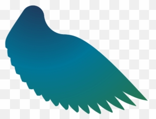 Pet Magpie - Changelog Horizontal png