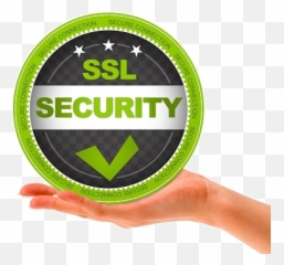 Ssl Certificate Comodo Positive Rapidssl Anyhost - Language png