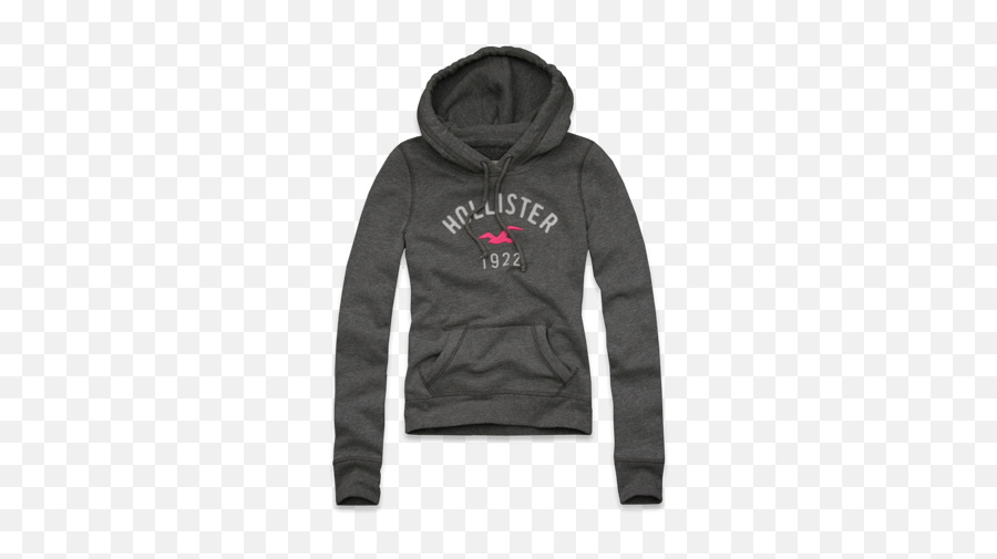 Cool Hollister Hoodies Cheaper Than Retail Priceu003e Buy - Veste En Cuir Balmain Png,Hollister Pink Icon Sweatshirt