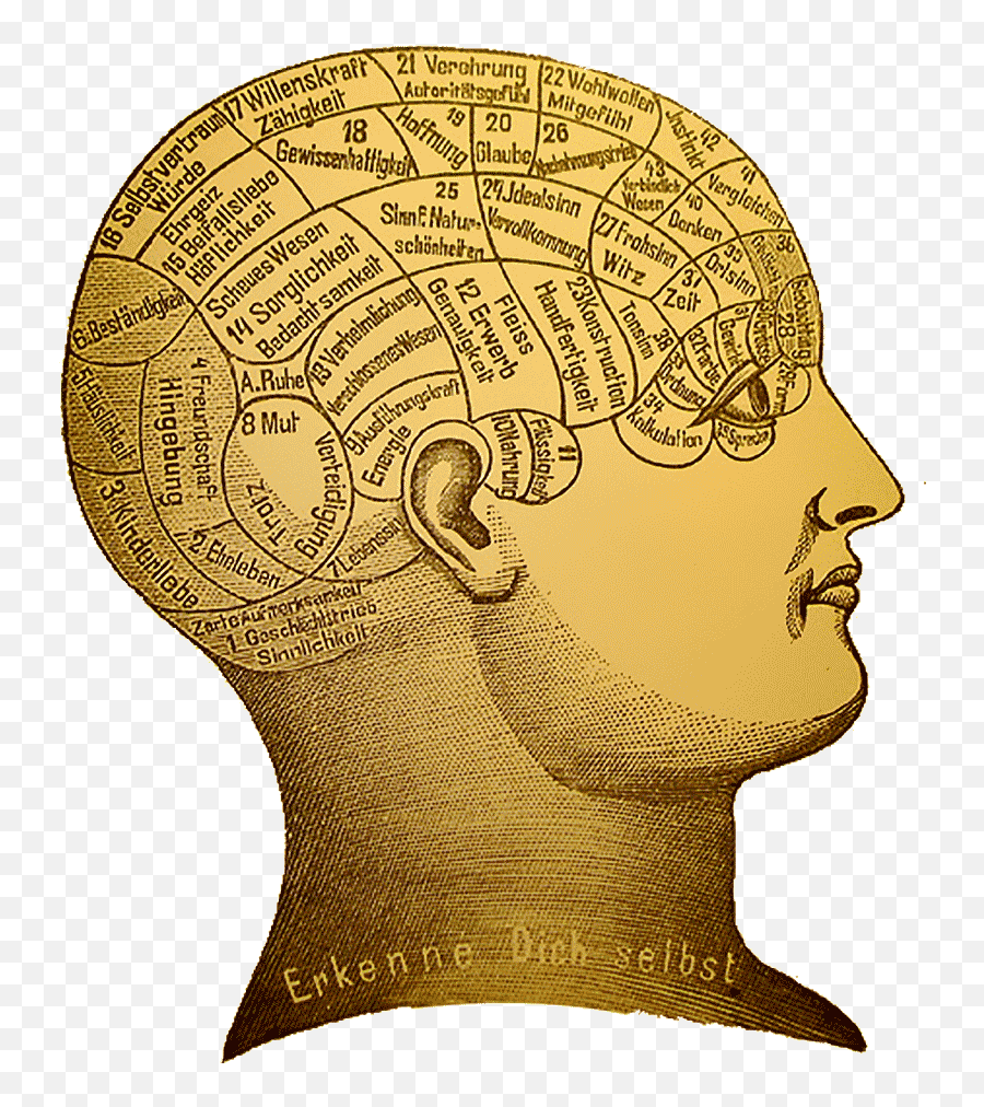 History Of Psychology Png Free