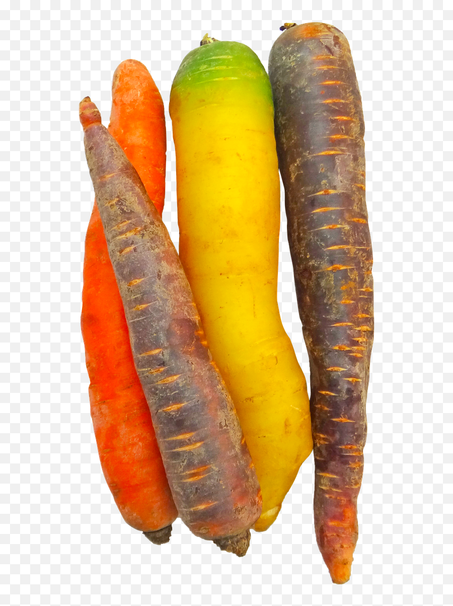 Carrotsrainbowfoodvegetablecolorful - Free Image From Colorful Carrots Png,Carrot Transparent Background