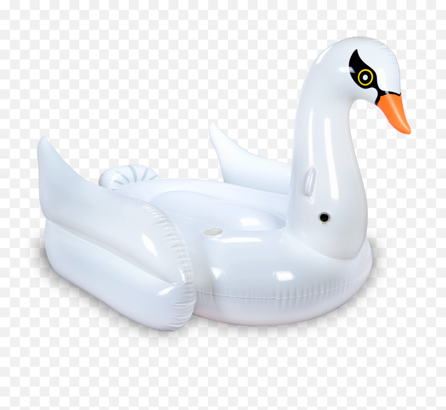 Swan Pool Float By Mimosa Inc - Duck Png,Pool Float Png