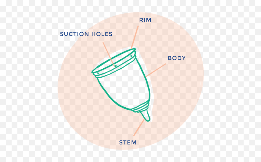 Use U2014 Freedom Cups - Diagram Png,Vagina Png
