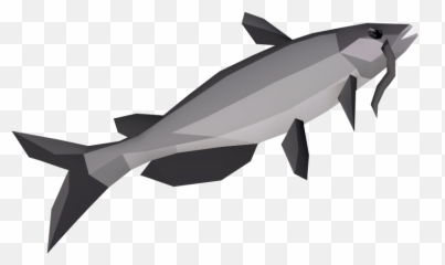 Burnt Catfish Runescape Wiki Fandom - Runescape Catfish Png,Catfish Png