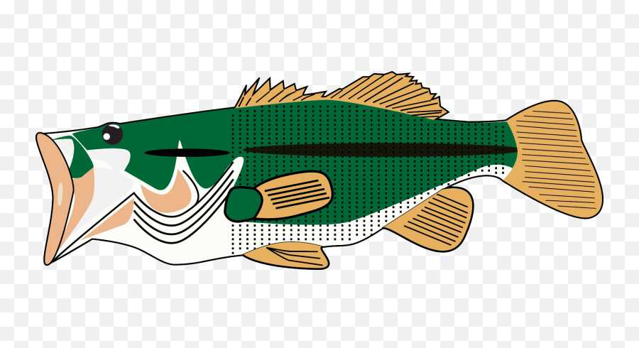 Animal Bass Fish - Portable Network Graphics Png,Bass Fish Png