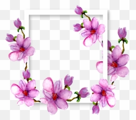 Flowers Magnolia Border Frame Watercolor Purple Ftestic - Borders And Frames png