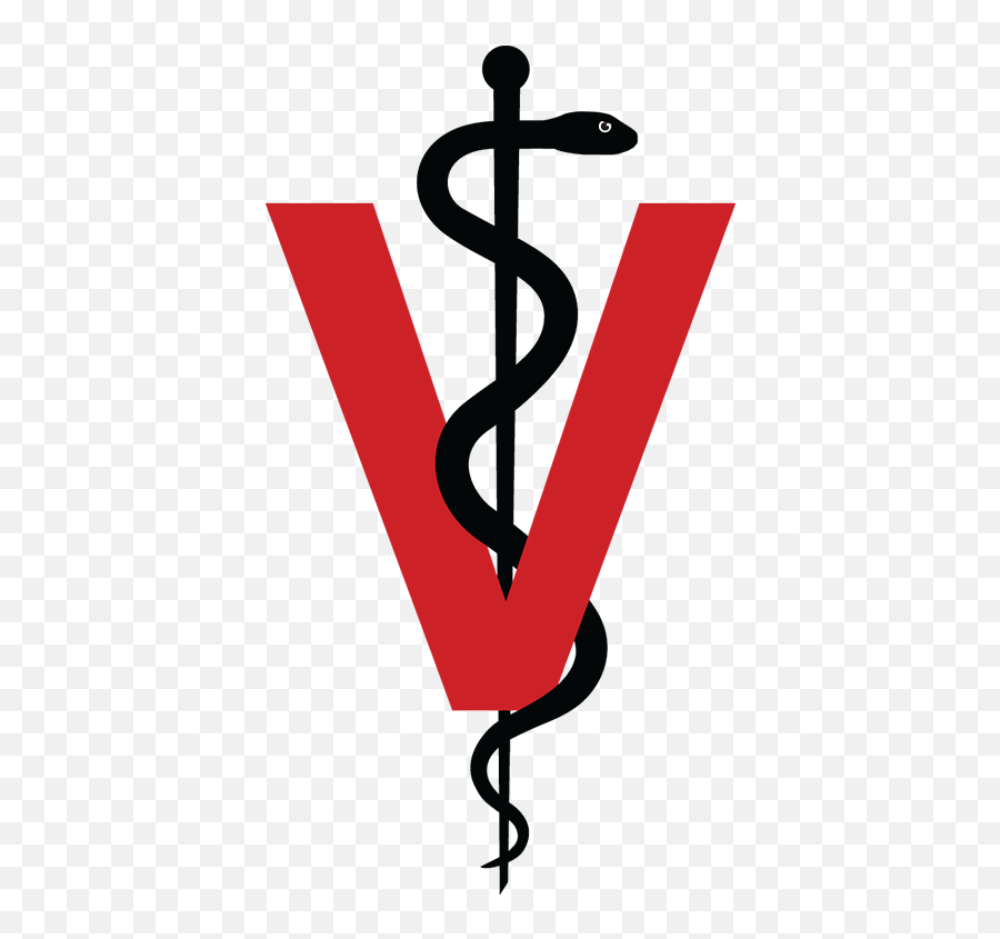 Vet Veterinarian Logo Png Veterinary