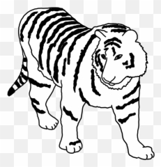 Tiger Clipart - Clip Art Png,Tiger Stripes Png