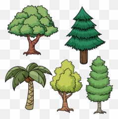 Tree Drawing Cartoon Pine - Picture Of Trees Different Types Easy png