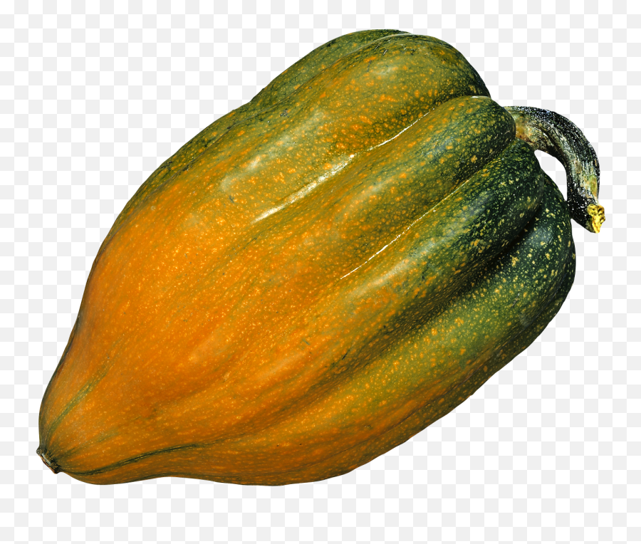 Download Pumpkin Png Image For Free - Know If An Acorn Squash,Pumpkin Png