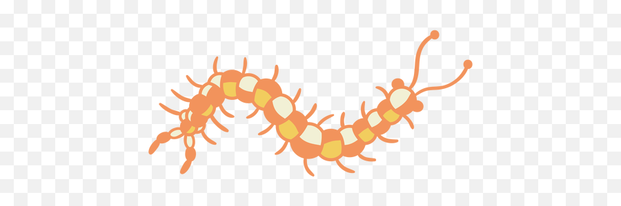 Transparent Png Svg Vector File - Insect,Centipede Png