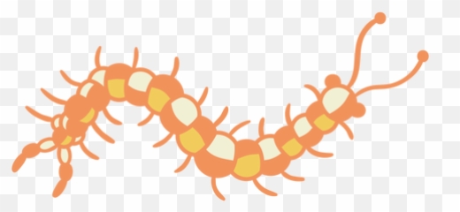 Transparent Png Svg Vector File - Insect,Centipede Png