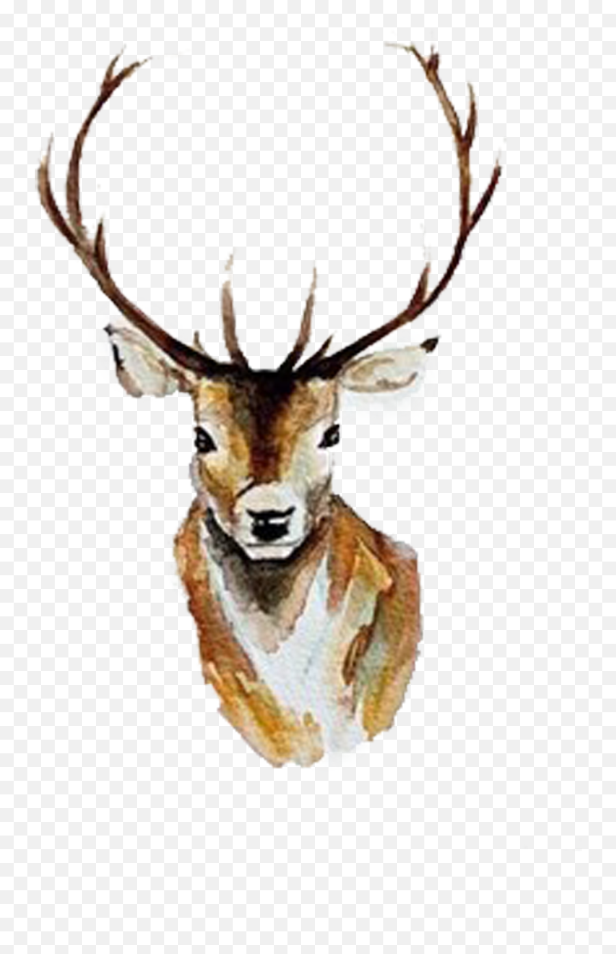 Watercolor Deer Antlers Png - Watercolor Deer Head Clipart,Antlers Png
