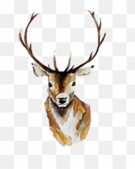 Watercolor Deer Antlers Png - Watercolor Deer Head Clipart,Antlers Png