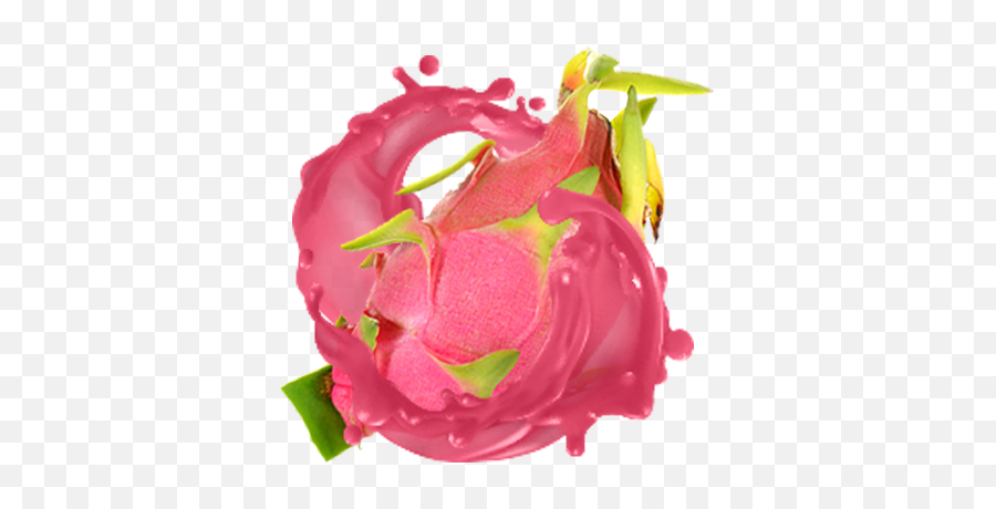 Pitaya Passion Sorbet U2013 Rainbows End - Illustration Png,Dragonfruit Png